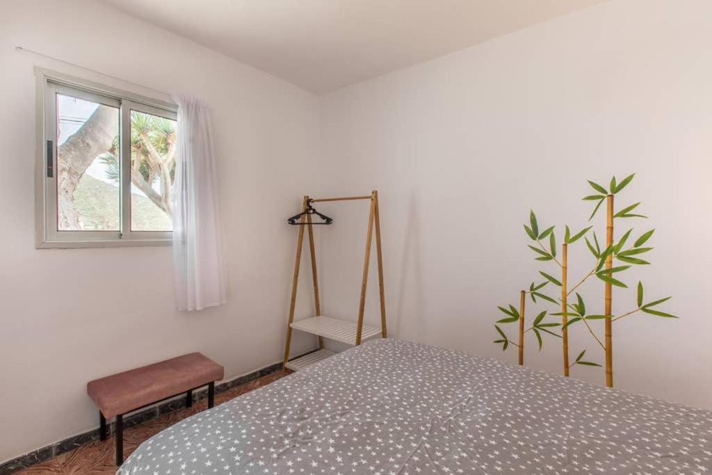 Anaga Experience: Mountain And Beach Retreat Taganana Extérieur photo